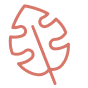 effect icon