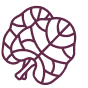effect icon
