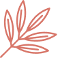effect icon