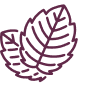 effect icon