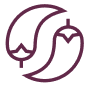 effect icon