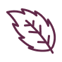 effect icon