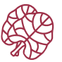effect icon