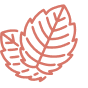 effect icon